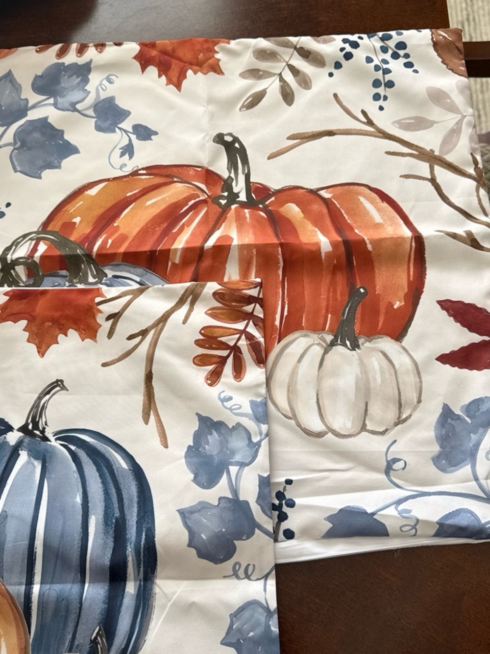 2 Fall Pumpkin pillow cases - Harvest Colors